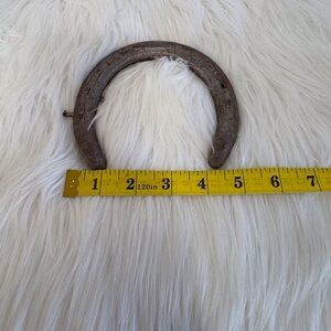 Vintage Rustic Horseshoe Decor